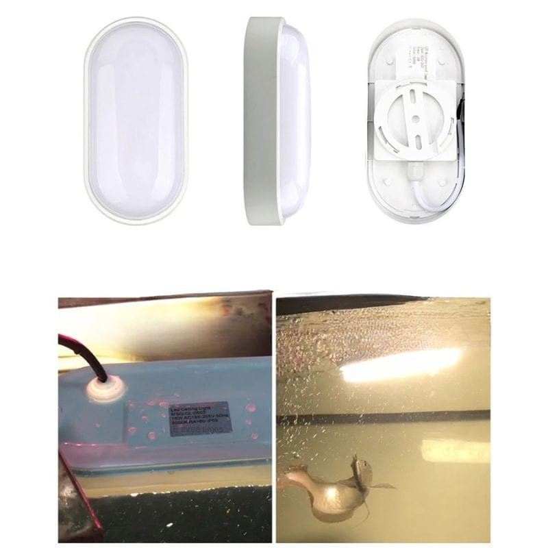 Applique Murale Plafonnier – Illuminez Votre Espace avec Style Unique